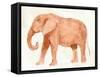 Elephant Wisdom I-Annie Warren-Framed Stretched Canvas