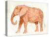 Elephant Wisdom I-Annie Warren-Stretched Canvas