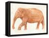 Elephant Wisdom II-Annie Warren-Framed Stretched Canvas
