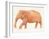 Elephant Wisdom II-Annie Warren-Framed Art Print