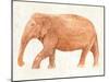 Elephant Wisdom II-Annie Warren-Mounted Art Print