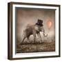 Elephant with a Orange Balloon-egal-Framed Photographic Print