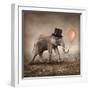 Elephant with a Orange Balloon-egal-Framed Photographic Print