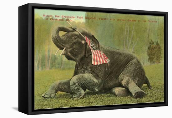 Elephant with Flag, Zoo in Cleveland, Ohio-null-Framed Stretched Canvas