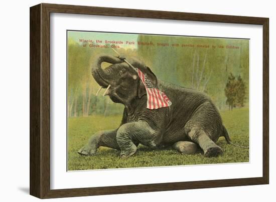 Elephant with Flag, Zoo in Cleveland, Ohio-null-Framed Art Print