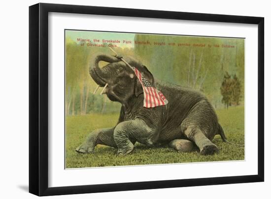 Elephant with Flag, Zoo in Cleveland, Ohio-null-Framed Art Print