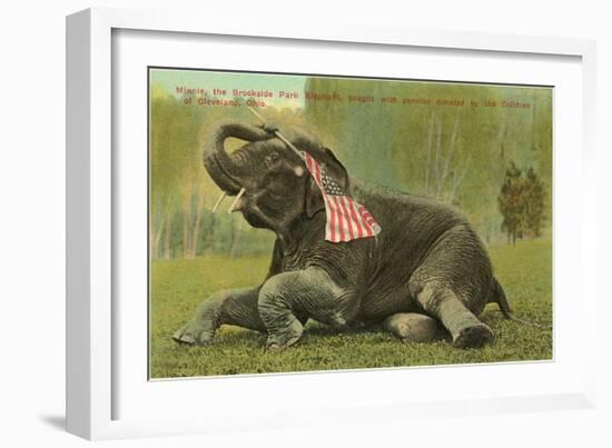 Elephant with Flag, Zoo in Cleveland, Ohio-null-Framed Art Print