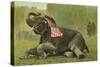 Elephant with Flag-null-Stretched Canvas