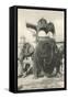 Elephant with Howdah, Amhehari, India-null-Framed Stretched Canvas