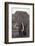 Elephant with Long Tusks-DLILLC-Framed Photographic Print