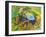 Elephant with Monkeys and Parasol, 2005-E.B. Watts-Framed Giclee Print