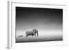 Elephant with Zebra behind on Open Plains of Etosha (Artistic Processing)-Johan Swanepoel-Framed Photographic Print