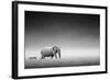 Elephant with Zebra behind on Open Plains of Etosha (Artistic Processing)-Johan Swanepoel-Framed Photographic Print