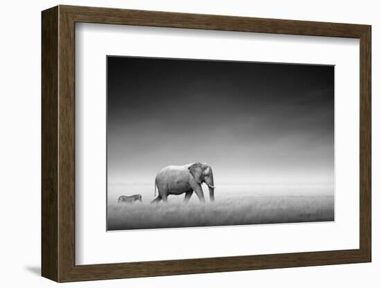 Elephant with Zebra behind on Open Plains of Etosha (Artistic Processing)-Johan Swanepoel-Framed Photographic Print