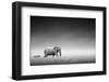 Elephant with Zebra behind on Open Plains of Etosha (Artistic Processing)-Johan Swanepoel-Framed Photographic Print