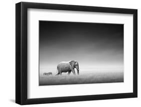 Elephant with Zebra behind on Open Plains of Etosha (Artistic Processing)-Johan Swanepoel-Framed Photographic Print