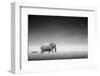 Elephant with Zebra behind on Open Plains of Etosha (Artistic Processing)-Johan Swanepoel-Framed Photographic Print
