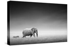 Elephant with Zebra behind on Open Plains of Etosha (Artistic Processing)-Johan Swanepoel-Stretched Canvas