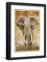 Elephant-Monica Reed-Framed Art Print