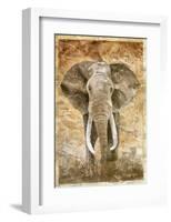 Elephant-Monica Reed-Framed Art Print