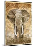 Elephant-Monica Reed-Mounted Art Print