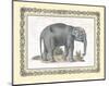 Elephant-null-Mounted Art Print