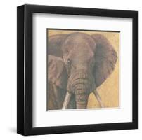 Elephant-null-Framed Art Print