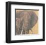 Elephant-null-Framed Art Print