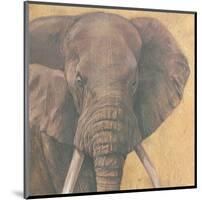 Elephant-null-Mounted Art Print