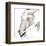 Elephant-Philippe Debongnie-Framed Art Print