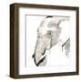 Elephant-Philippe Debongnie-Framed Art Print