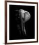 Elephant!-null-Framed Giclee Print