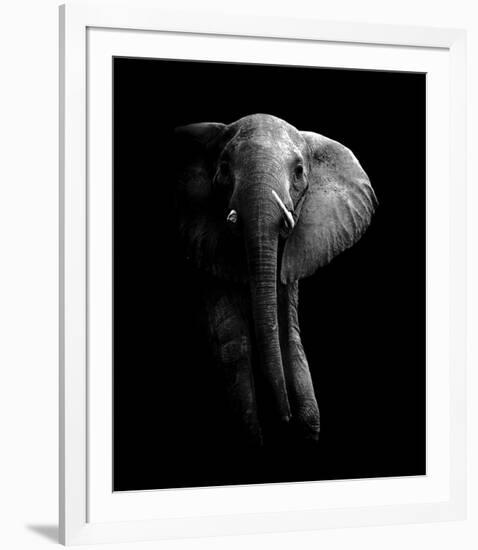 Elephant!-null-Framed Giclee Print