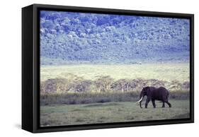 Elephant-null-Framed Stretched Canvas