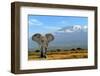 Elephant-byrdyak-Framed Premium Photographic Print