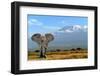 Elephant-byrdyak-Framed Premium Photographic Print