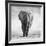 Elephant-Donvanstaden-Framed Photographic Print