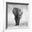 Elephant-Donvanstaden-Framed Photographic Print