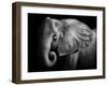 Elephant-Donvanstaden-Framed Photographic Print