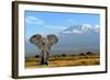 Elephant-byrdyak-Framed Photographic Print