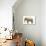 Elephant-null-Photographic Print displayed on a wall