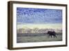 Elephant-null-Framed Photographic Print