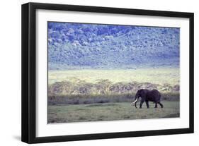 Elephant-null-Framed Photographic Print