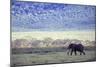 Elephant-null-Mounted Photographic Print