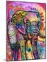 Elephant-Dean Russo-Mounted Premium Giclee Print