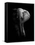 Elephant!-WildPhotoArt-Framed Stretched Canvas