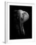 Elephant!-WildPhotoArt-Framed Photographic Print