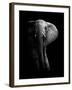 Elephant!-WildPhotoArt-Framed Photographic Print