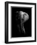 Elephant!-WildPhotoArt-Framed Premium Photographic Print