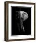 Elephant!-WildPhotoArt-Framed Photographic Print